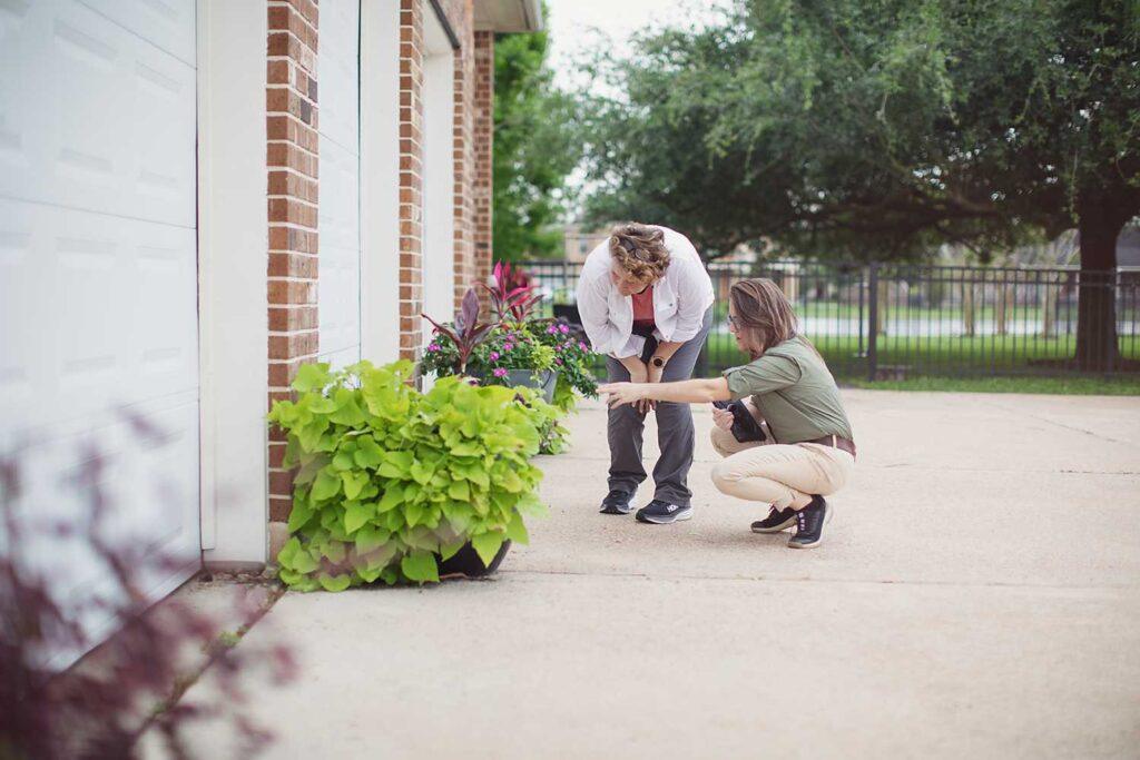 green balance pest control