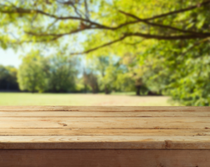 your-favorite-pest-control-is-now-green-balance