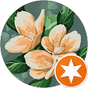 Jackie Y profile picture