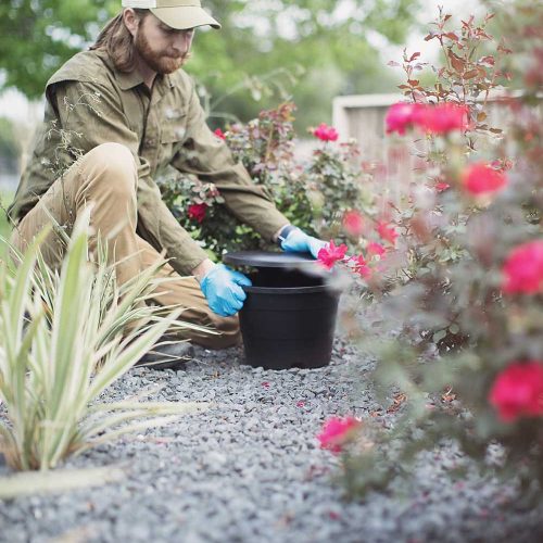 green balance pest control GB Mosquito Station