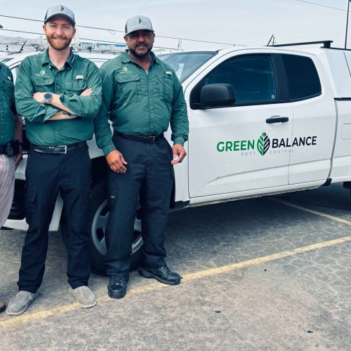 green balance pest control team members